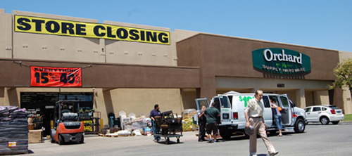 AugustMidtownorchard