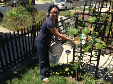 June15step 2- save waterweb